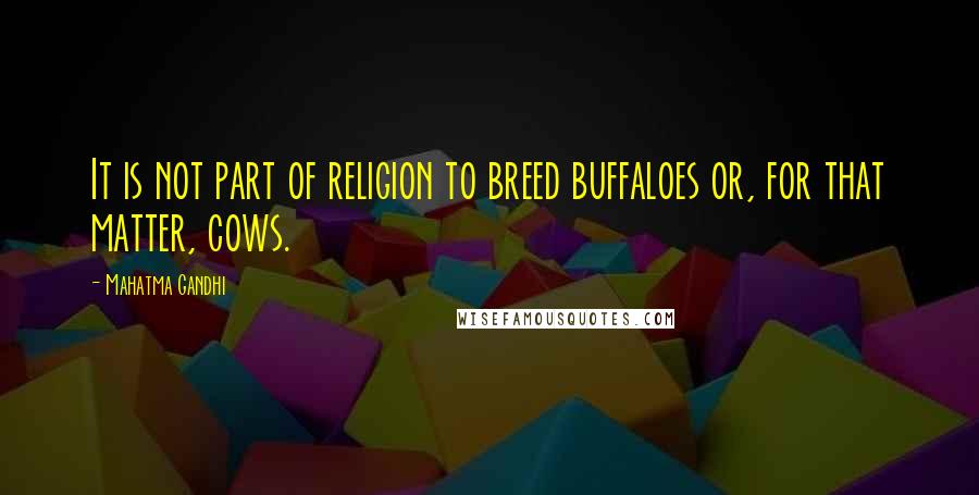Mahatma Gandhi Quotes: It is not part of religion to breed buffaloes or, for that matter, cows.