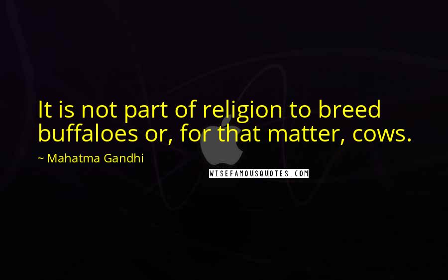 Mahatma Gandhi Quotes: It is not part of religion to breed buffaloes or, for that matter, cows.