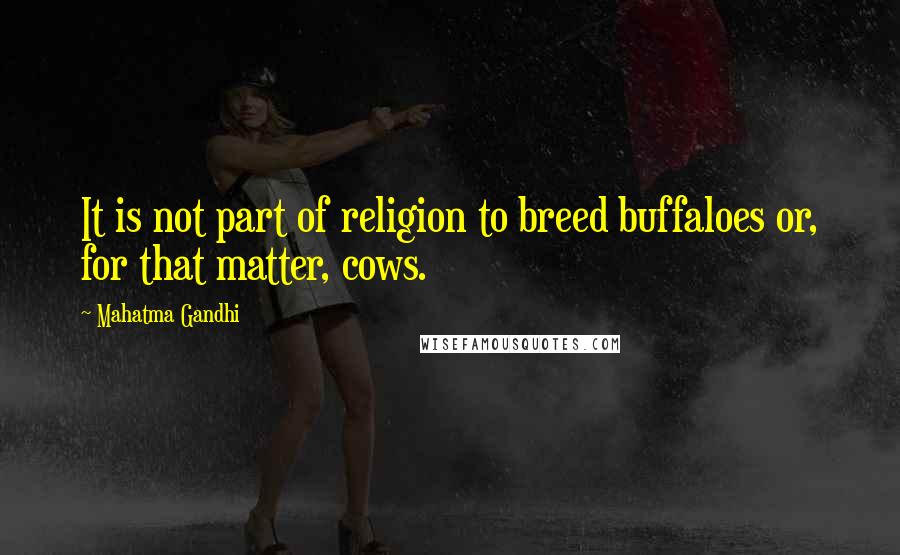 Mahatma Gandhi Quotes: It is not part of religion to breed buffaloes or, for that matter, cows.