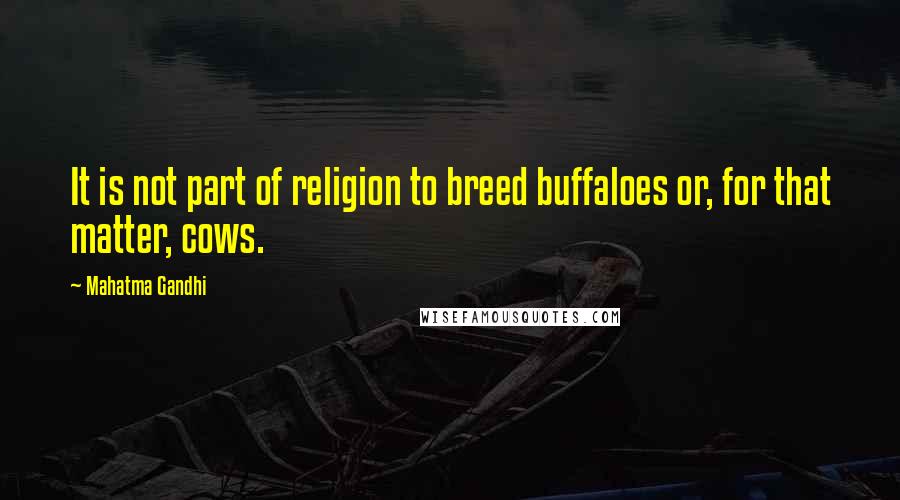 Mahatma Gandhi Quotes: It is not part of religion to breed buffaloes or, for that matter, cows.