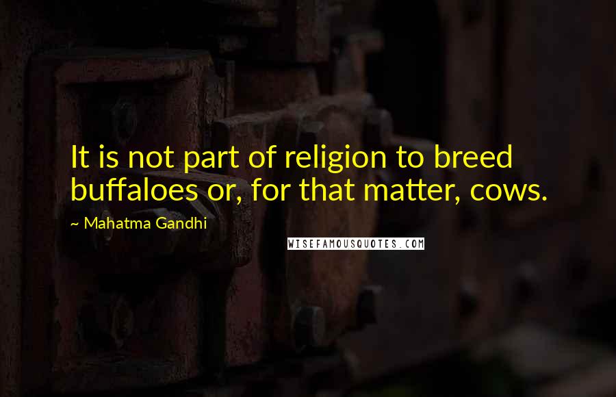 Mahatma Gandhi Quotes: It is not part of religion to breed buffaloes or, for that matter, cows.