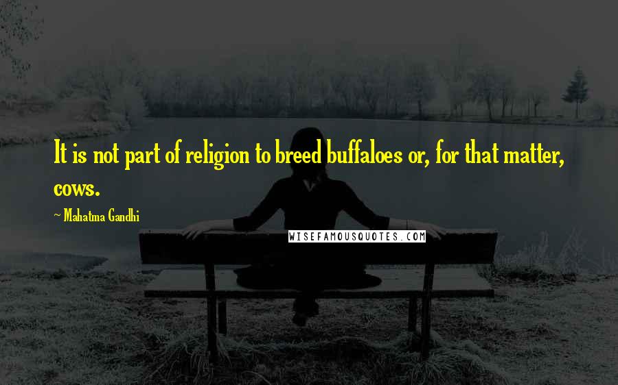 Mahatma Gandhi Quotes: It is not part of religion to breed buffaloes or, for that matter, cows.