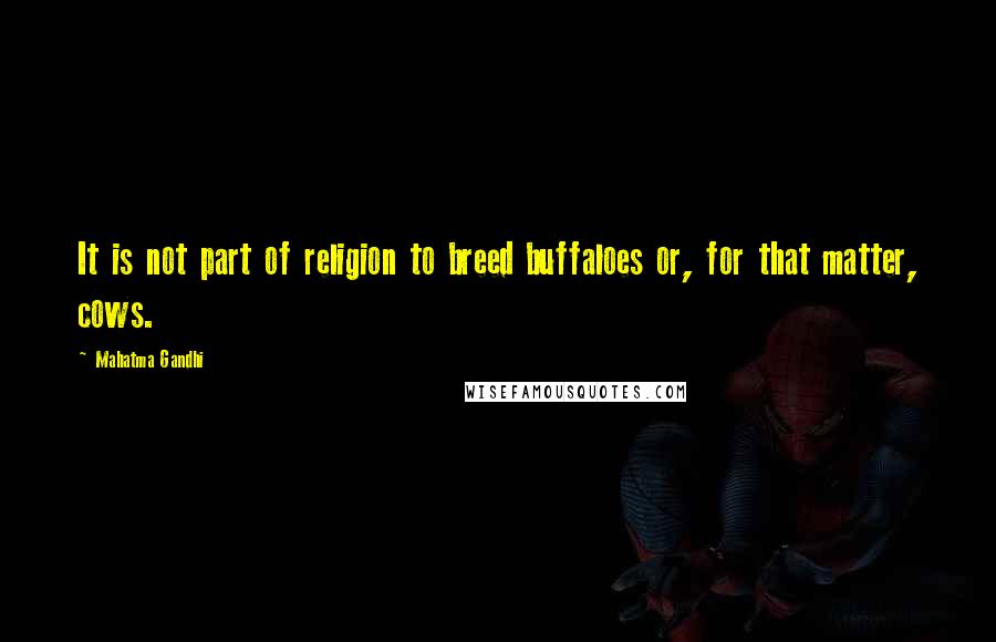 Mahatma Gandhi Quotes: It is not part of religion to breed buffaloes or, for that matter, cows.