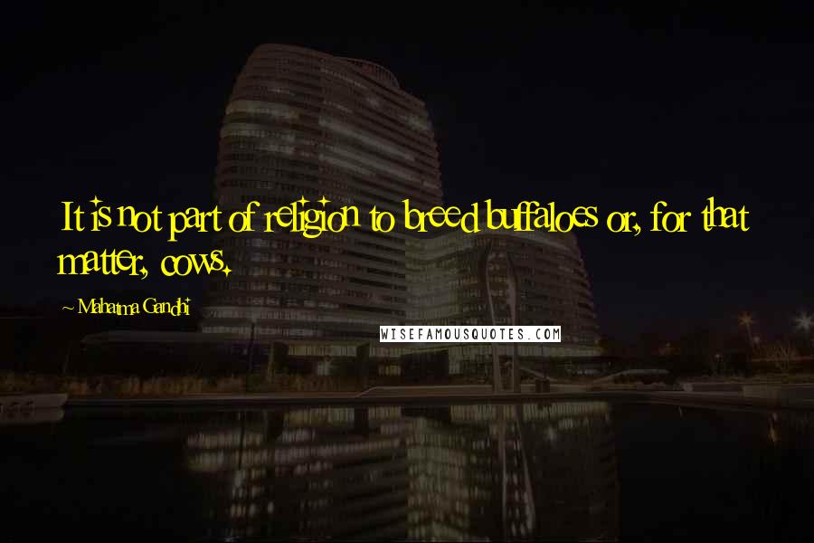 Mahatma Gandhi Quotes: It is not part of religion to breed buffaloes or, for that matter, cows.