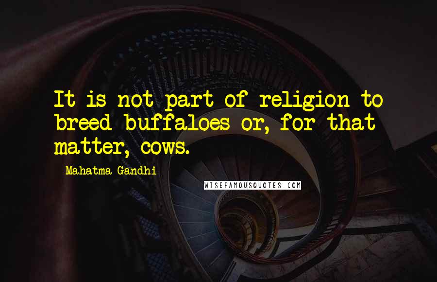 Mahatma Gandhi Quotes: It is not part of religion to breed buffaloes or, for that matter, cows.