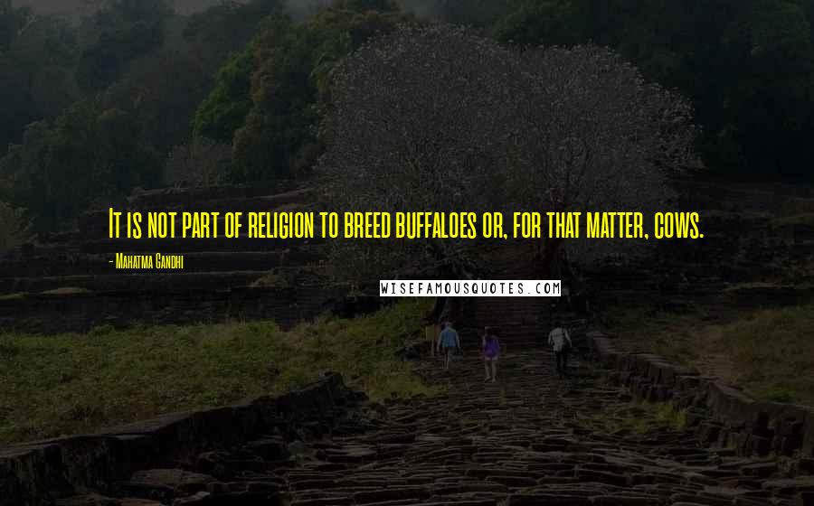 Mahatma Gandhi Quotes: It is not part of religion to breed buffaloes or, for that matter, cows.