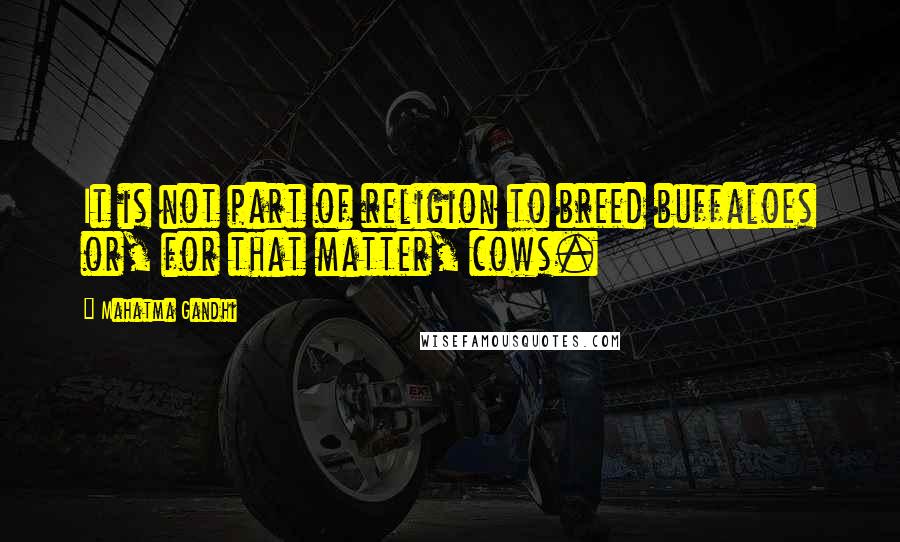 Mahatma Gandhi Quotes: It is not part of religion to breed buffaloes or, for that matter, cows.