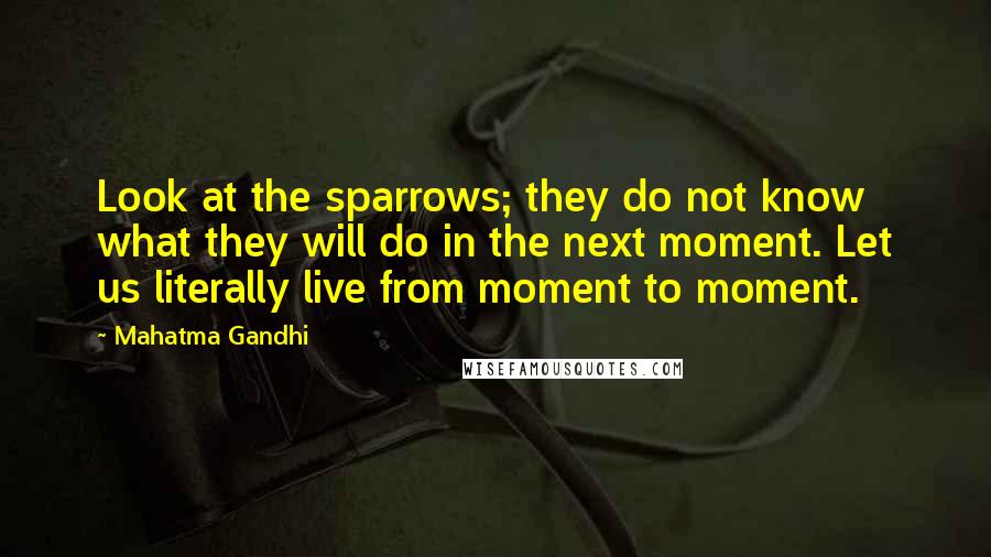 Mahatma Gandhi Quotes: Look at the sparrows; they do not know what they will do in the next moment. Let us literally live from moment to moment.