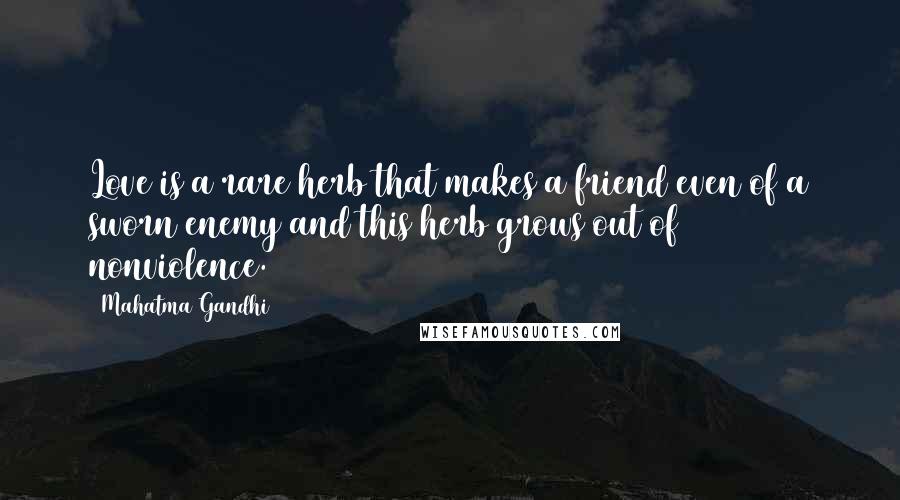 Mahatma Gandhi Quotes: Love is a rare herb that makes a friend even of a sworn enemy and this herb grows out of nonviolence.