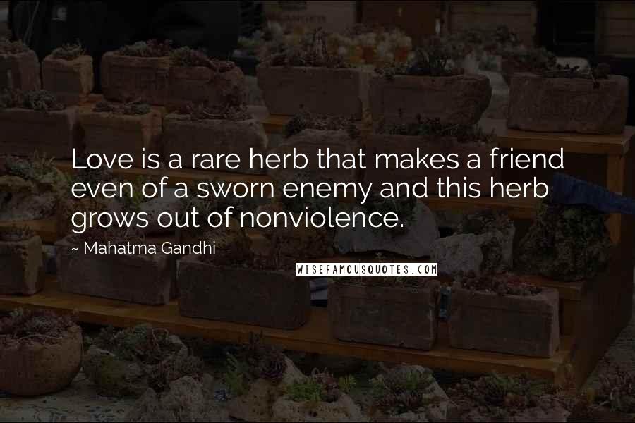 Mahatma Gandhi Quotes: Love is a rare herb that makes a friend even of a sworn enemy and this herb grows out of nonviolence.