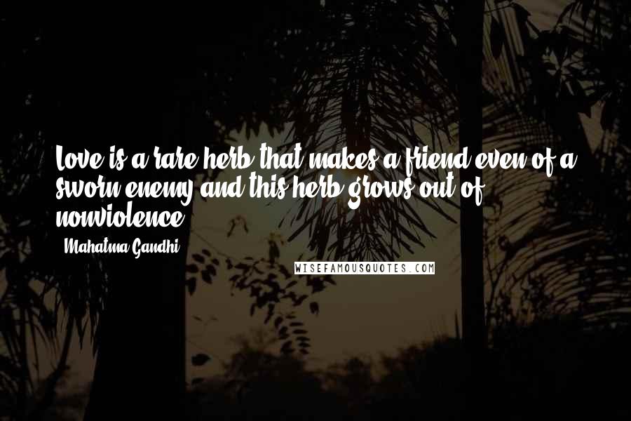 Mahatma Gandhi Quotes: Love is a rare herb that makes a friend even of a sworn enemy and this herb grows out of nonviolence.