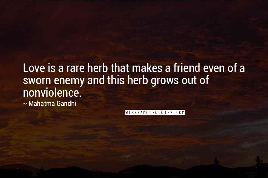 Mahatma Gandhi Quotes: Love is a rare herb that makes a friend even of a sworn enemy and this herb grows out of nonviolence.