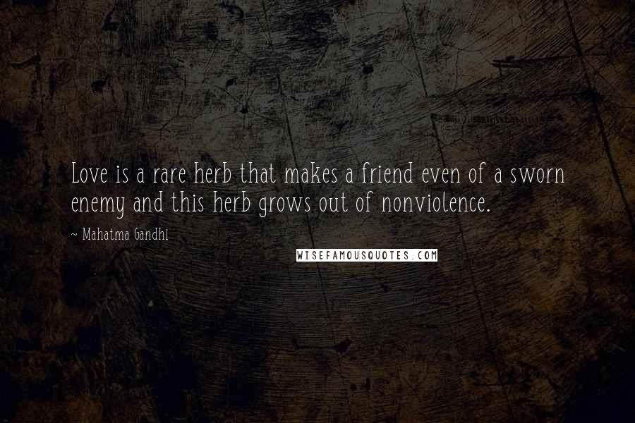 Mahatma Gandhi Quotes: Love is a rare herb that makes a friend even of a sworn enemy and this herb grows out of nonviolence.