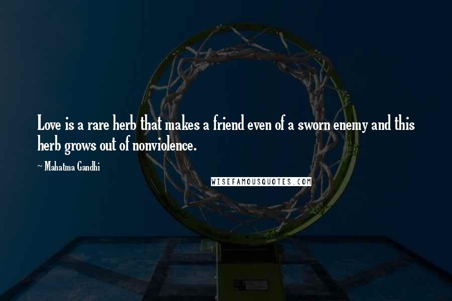 Mahatma Gandhi Quotes: Love is a rare herb that makes a friend even of a sworn enemy and this herb grows out of nonviolence.