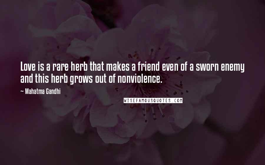 Mahatma Gandhi Quotes: Love is a rare herb that makes a friend even of a sworn enemy and this herb grows out of nonviolence.