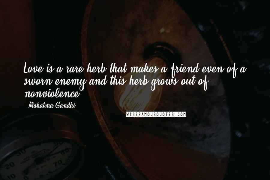 Mahatma Gandhi Quotes: Love is a rare herb that makes a friend even of a sworn enemy and this herb grows out of nonviolence.