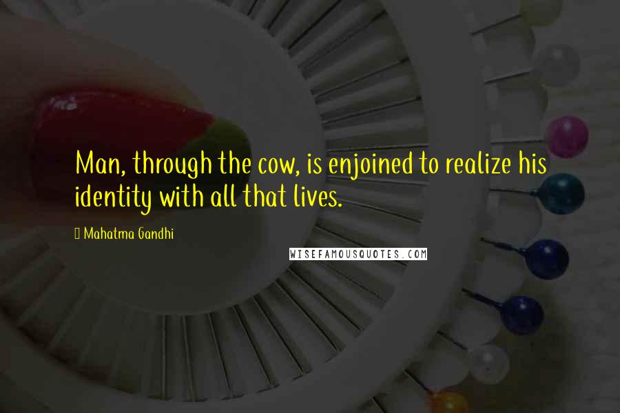 Mahatma Gandhi Quotes: Man, through the cow, is enjoined to realize his identity with all that lives.