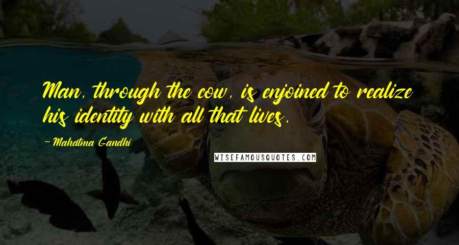 Mahatma Gandhi Quotes: Man, through the cow, is enjoined to realize his identity with all that lives.