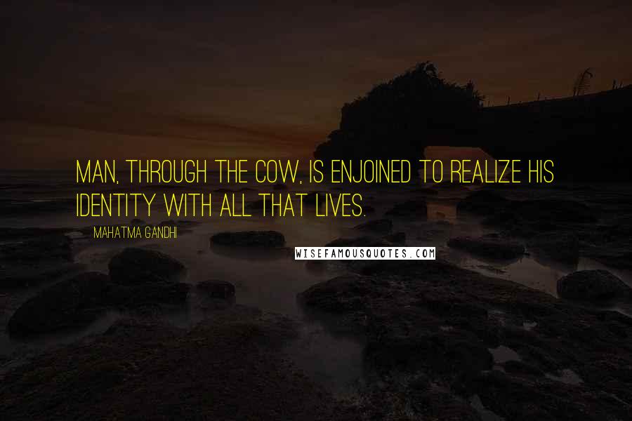 Mahatma Gandhi Quotes: Man, through the cow, is enjoined to realize his identity with all that lives.