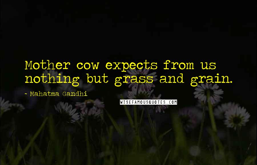 Mahatma Gandhi Quotes: Mother cow expects from us nothing but grass and grain.