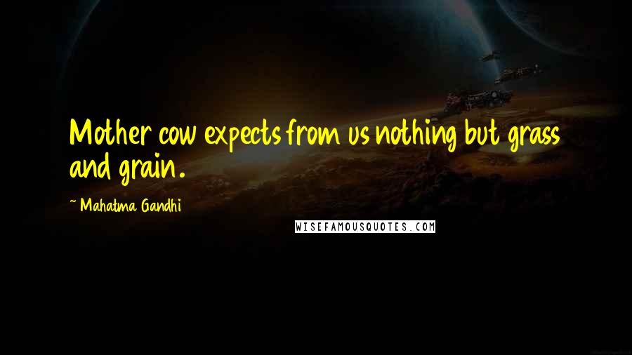 Mahatma Gandhi Quotes: Mother cow expects from us nothing but grass and grain.