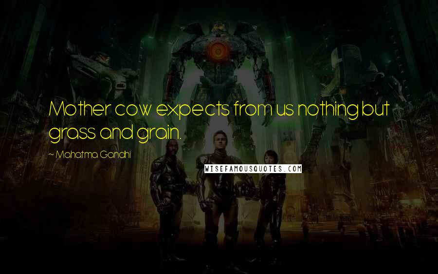 Mahatma Gandhi Quotes: Mother cow expects from us nothing but grass and grain.