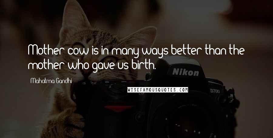 Mahatma Gandhi Quotes: Mother cow is in many ways better than the mother who gave us birth.