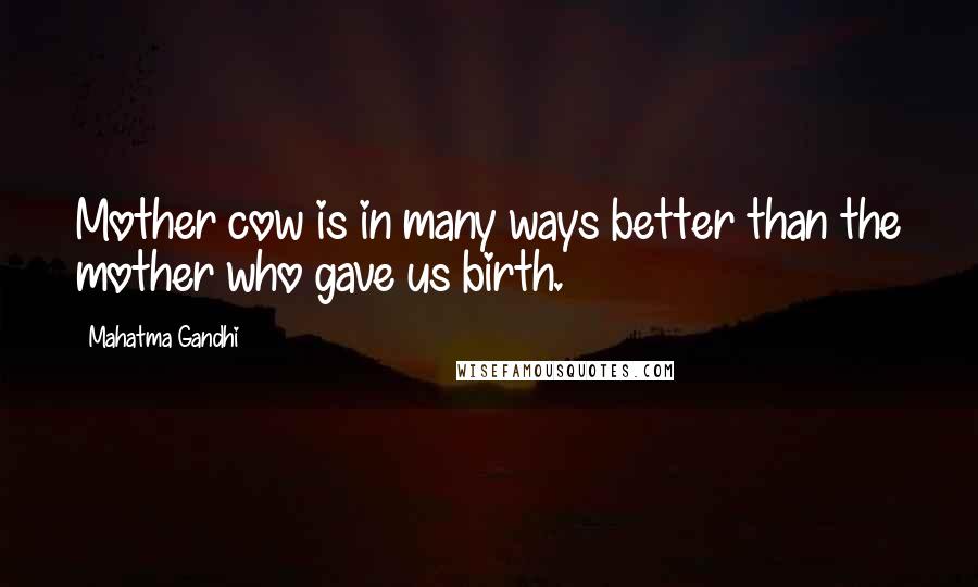 Mahatma Gandhi Quotes: Mother cow is in many ways better than the mother who gave us birth.