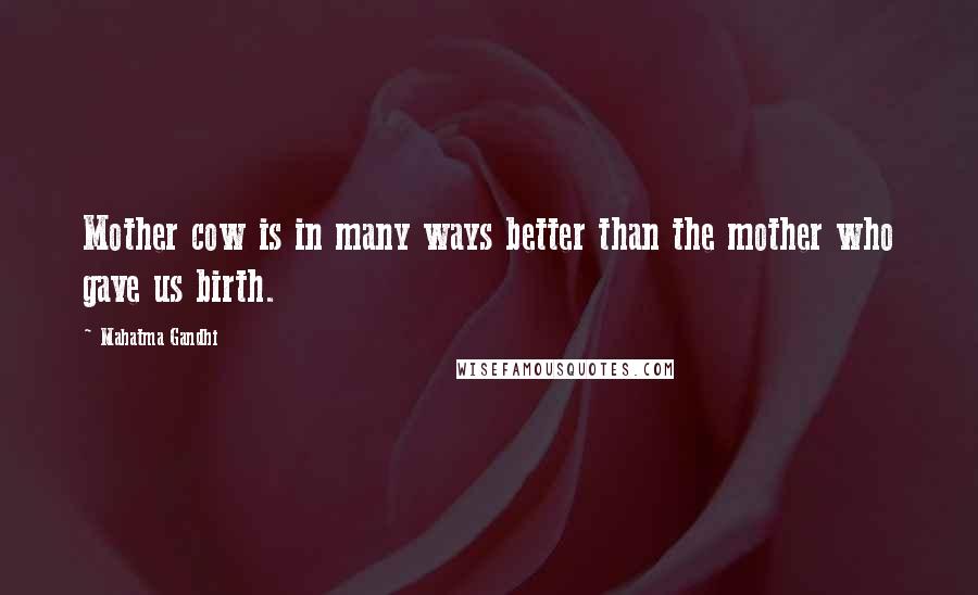 Mahatma Gandhi Quotes: Mother cow is in many ways better than the mother who gave us birth.