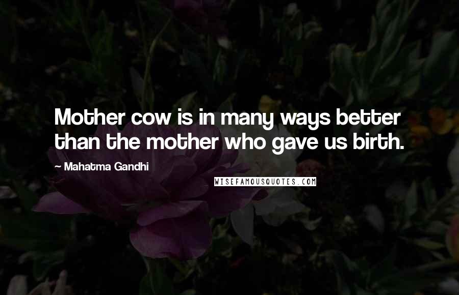 Mahatma Gandhi Quotes: Mother cow is in many ways better than the mother who gave us birth.