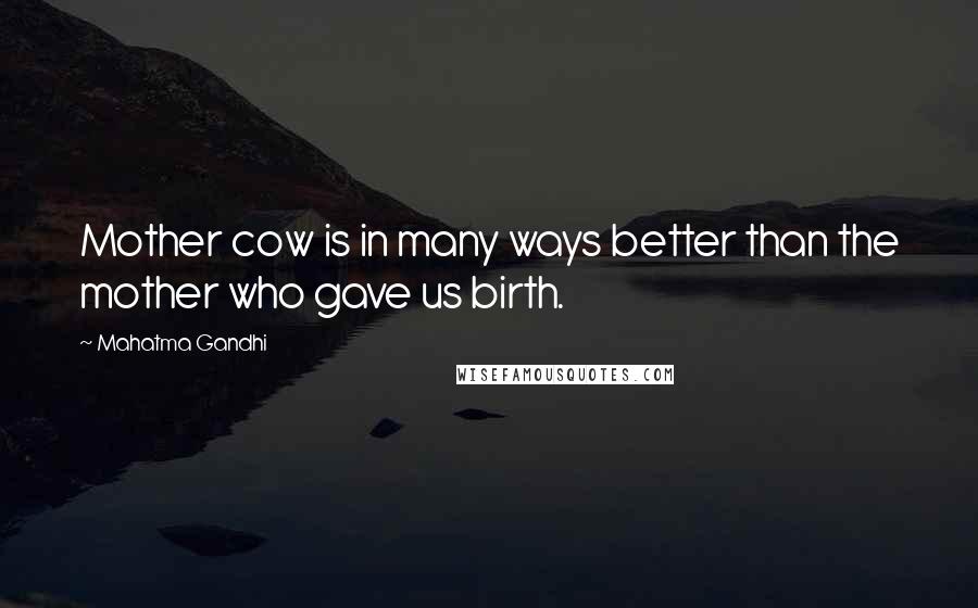 Mahatma Gandhi Quotes: Mother cow is in many ways better than the mother who gave us birth.