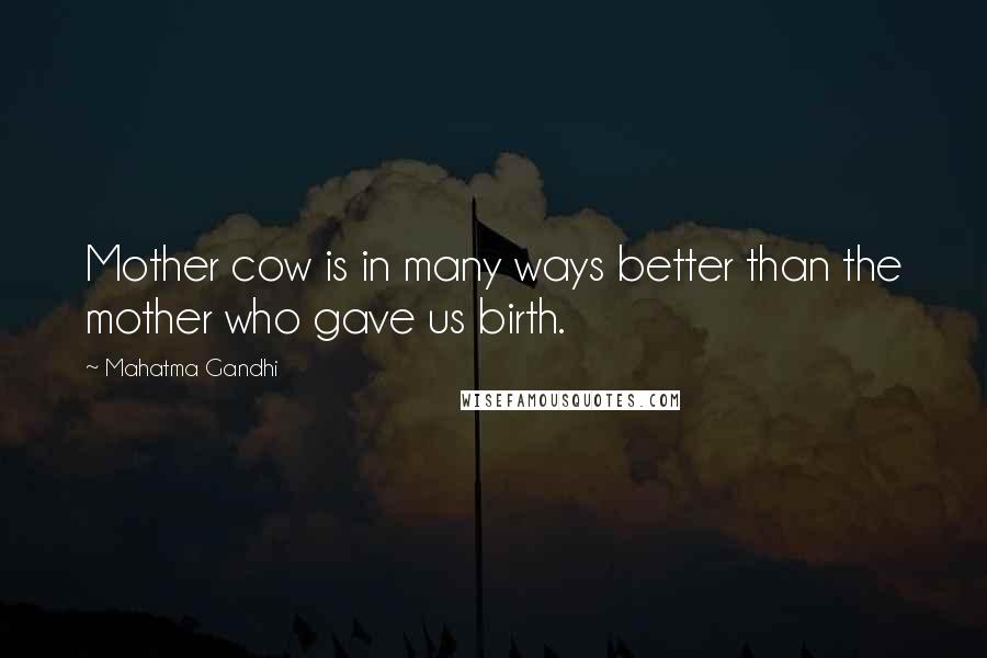 Mahatma Gandhi Quotes: Mother cow is in many ways better than the mother who gave us birth.