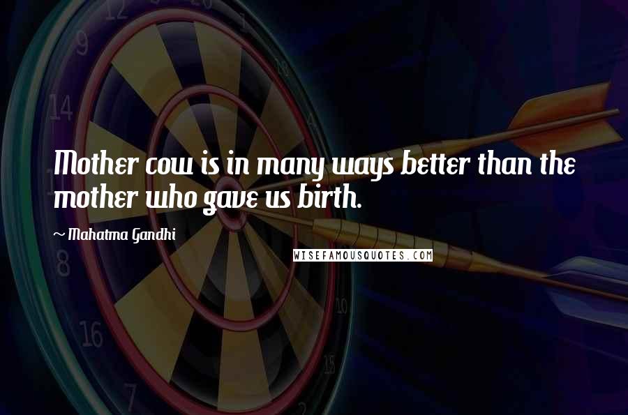 Mahatma Gandhi Quotes: Mother cow is in many ways better than the mother who gave us birth.