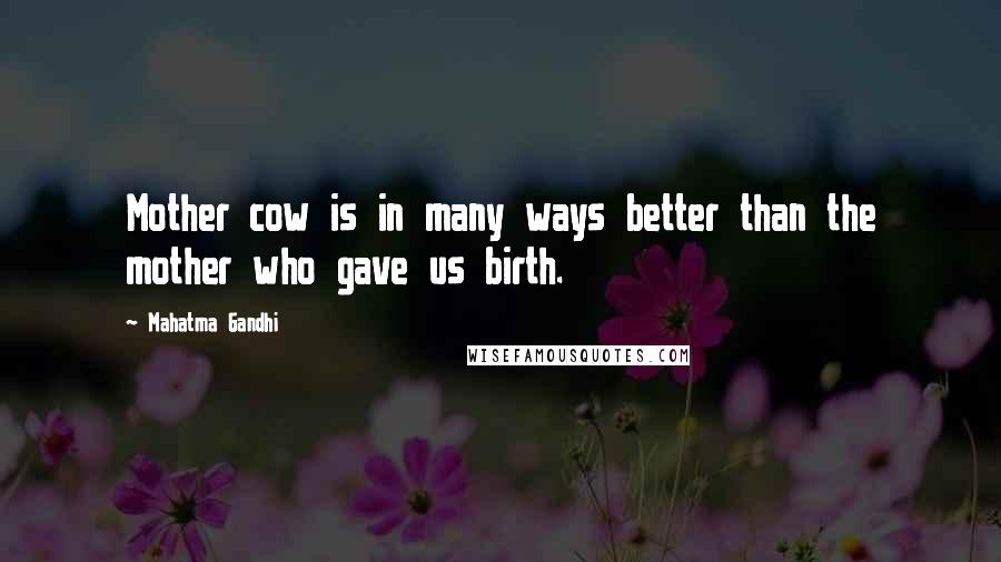 Mahatma Gandhi Quotes: Mother cow is in many ways better than the mother who gave us birth.