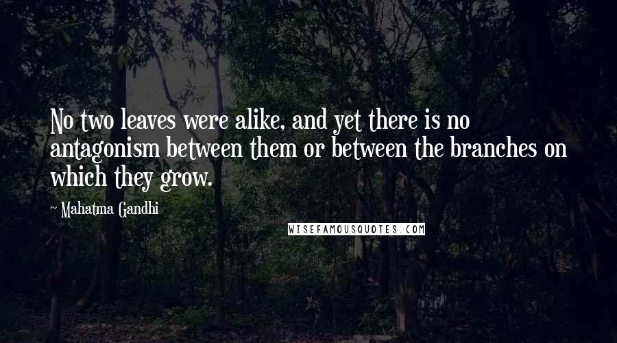 Mahatma Gandhi Quotes: No two leaves were alike, and yet there is no antagonism between them or between the branches on which they grow.