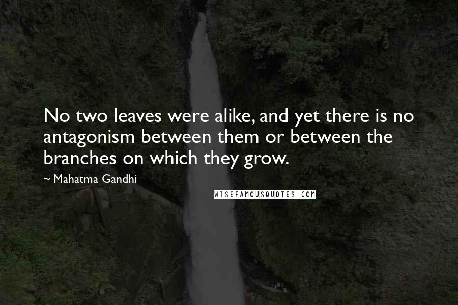 Mahatma Gandhi Quotes: No two leaves were alike, and yet there is no antagonism between them or between the branches on which they grow.