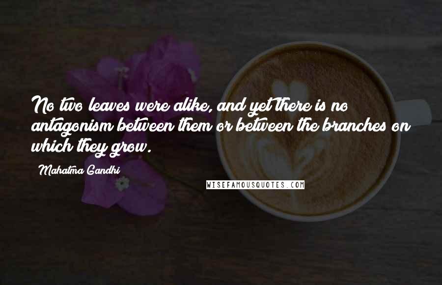 Mahatma Gandhi Quotes: No two leaves were alike, and yet there is no antagonism between them or between the branches on which they grow.