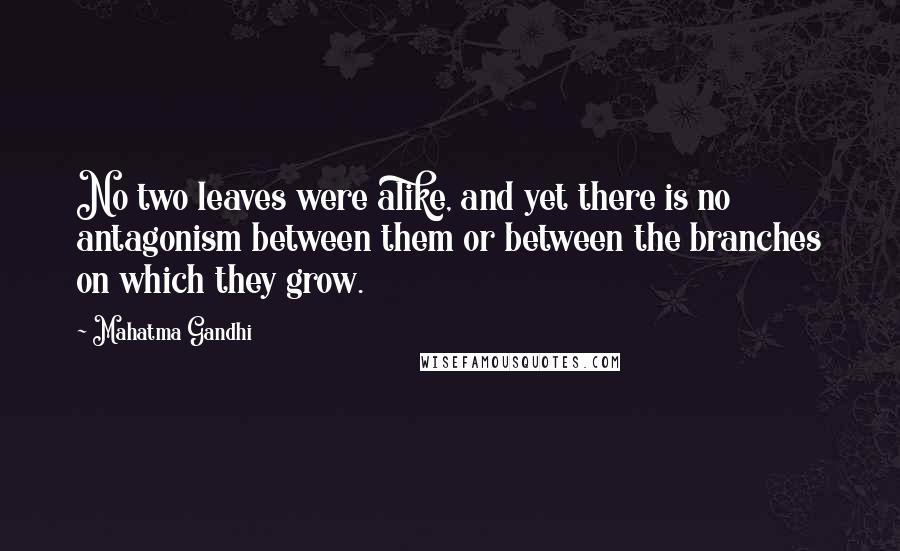 Mahatma Gandhi Quotes: No two leaves were alike, and yet there is no antagonism between them or between the branches on which they grow.