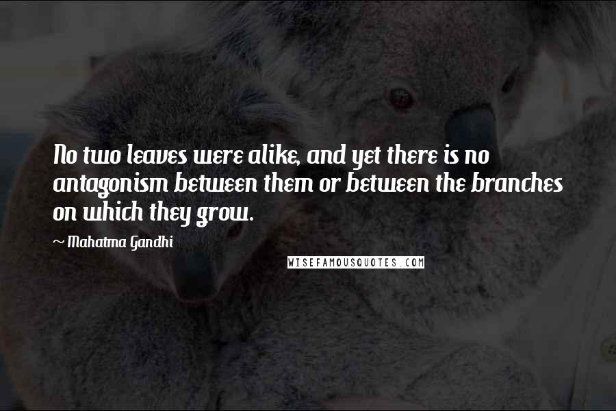 Mahatma Gandhi Quotes: No two leaves were alike, and yet there is no antagonism between them or between the branches on which they grow.