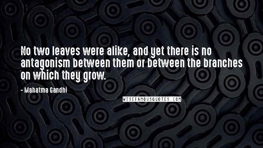 Mahatma Gandhi Quotes: No two leaves were alike, and yet there is no antagonism between them or between the branches on which they grow.