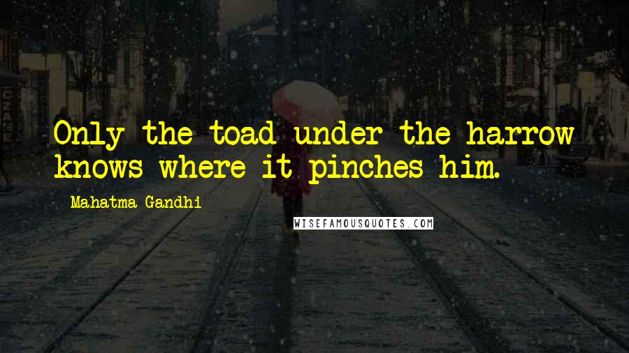 Mahatma Gandhi Quotes: Only the toad under the harrow knows where it pinches him.