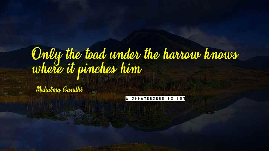 Mahatma Gandhi Quotes: Only the toad under the harrow knows where it pinches him.