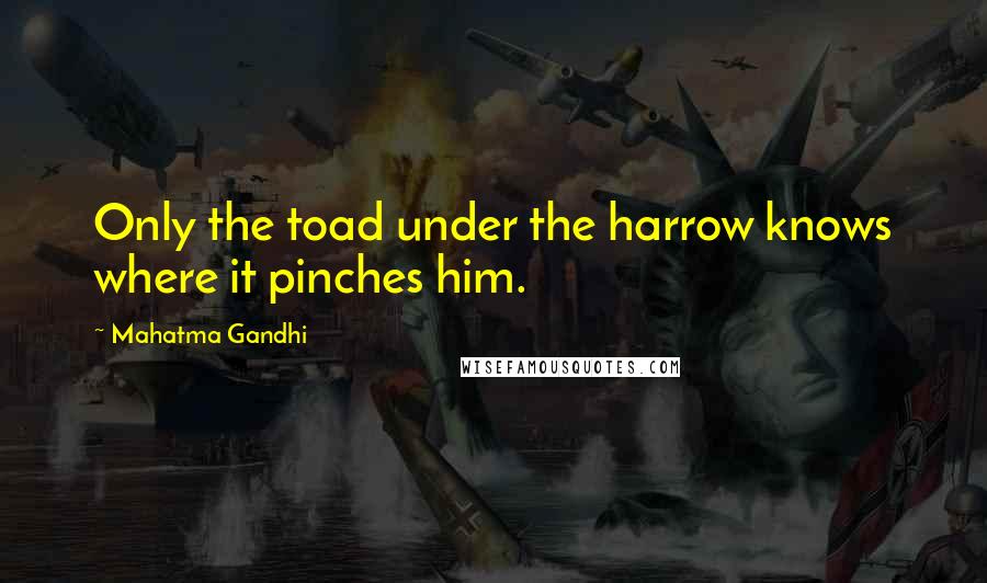 Mahatma Gandhi Quotes: Only the toad under the harrow knows where it pinches him.