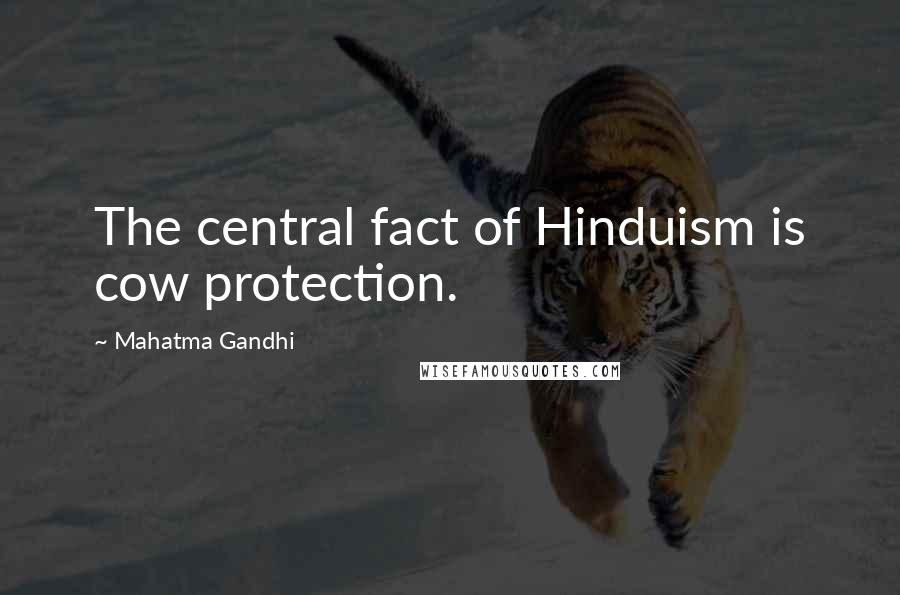 Mahatma Gandhi Quotes: The central fact of Hinduism is cow protection.