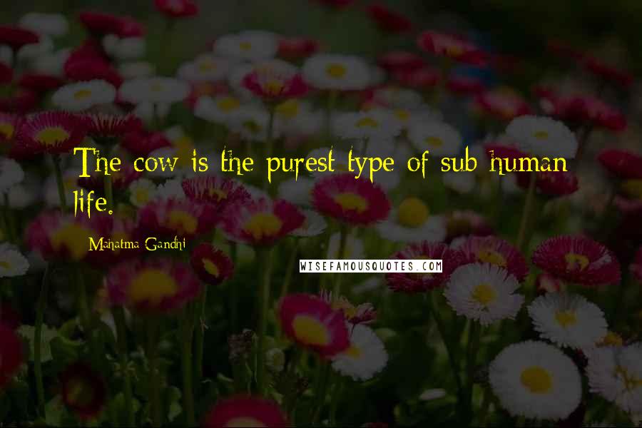 Mahatma Gandhi Quotes: The cow is the purest type of sub-human life.