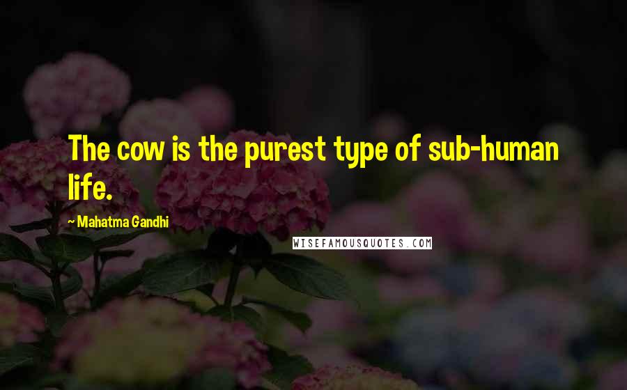 Mahatma Gandhi Quotes: The cow is the purest type of sub-human life.