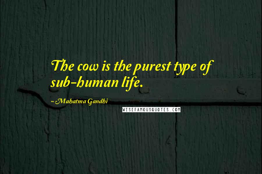 Mahatma Gandhi Quotes: The cow is the purest type of sub-human life.