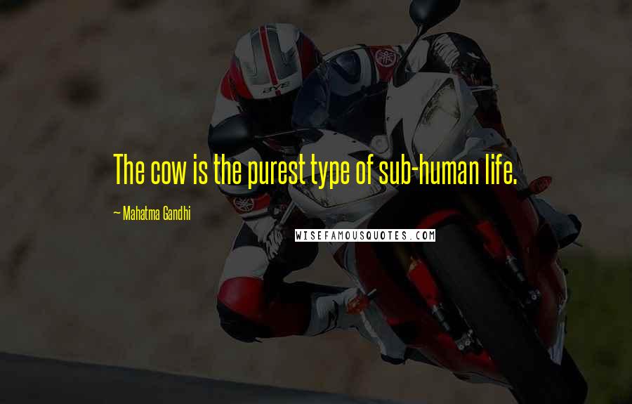 Mahatma Gandhi Quotes: The cow is the purest type of sub-human life.