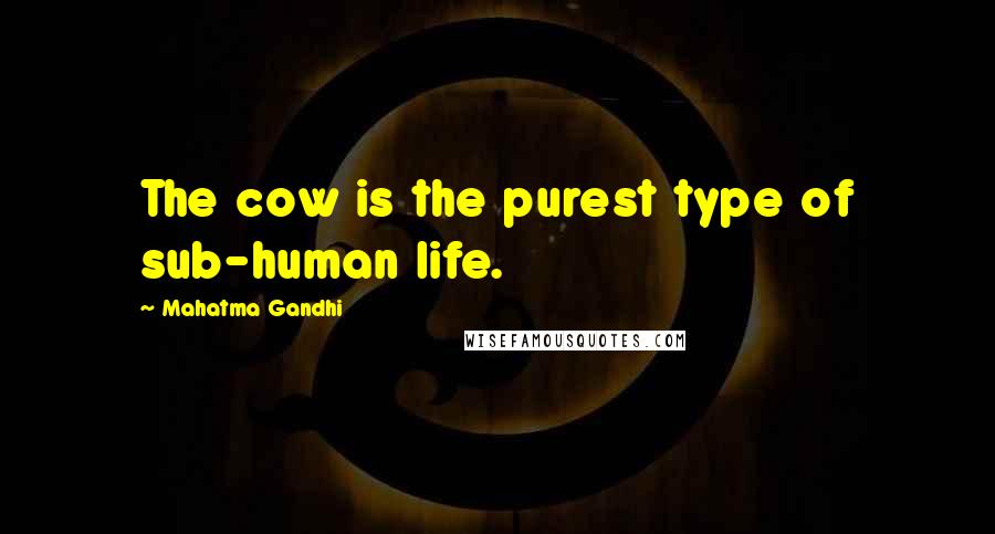 Mahatma Gandhi Quotes: The cow is the purest type of sub-human life.