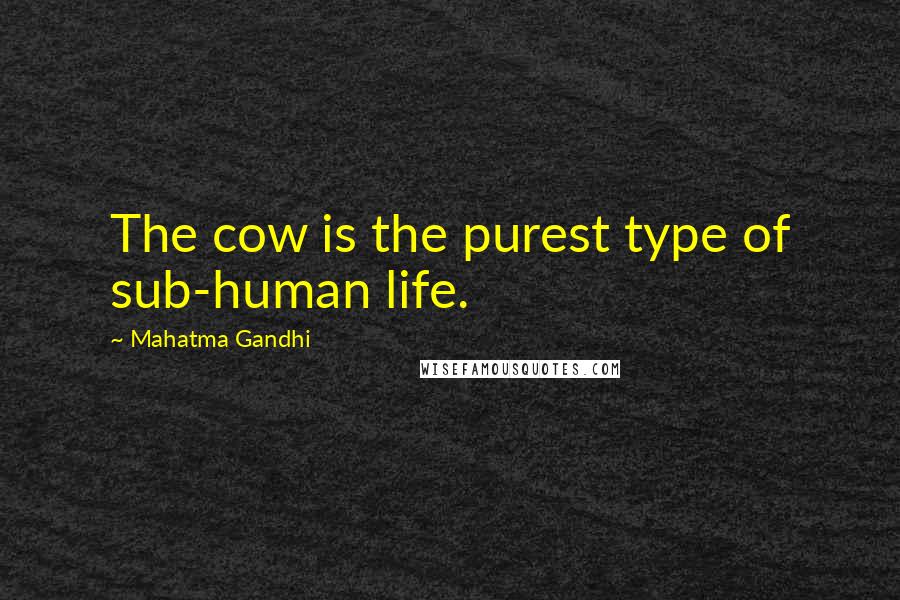 Mahatma Gandhi Quotes: The cow is the purest type of sub-human life.